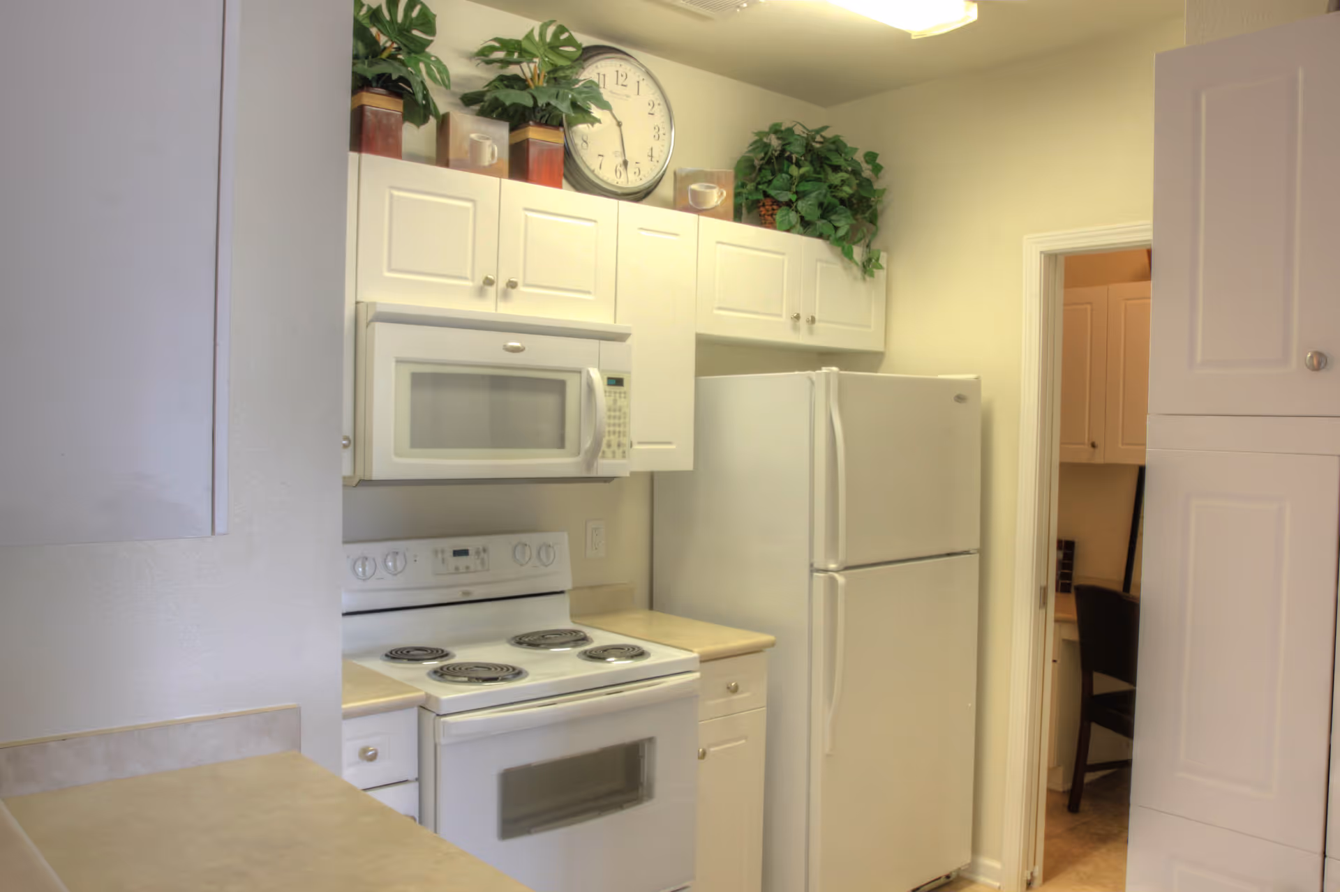 Small white kitchen with a refrigerator, stove, over-the-range microwave, upper cabinets and decorative plants.