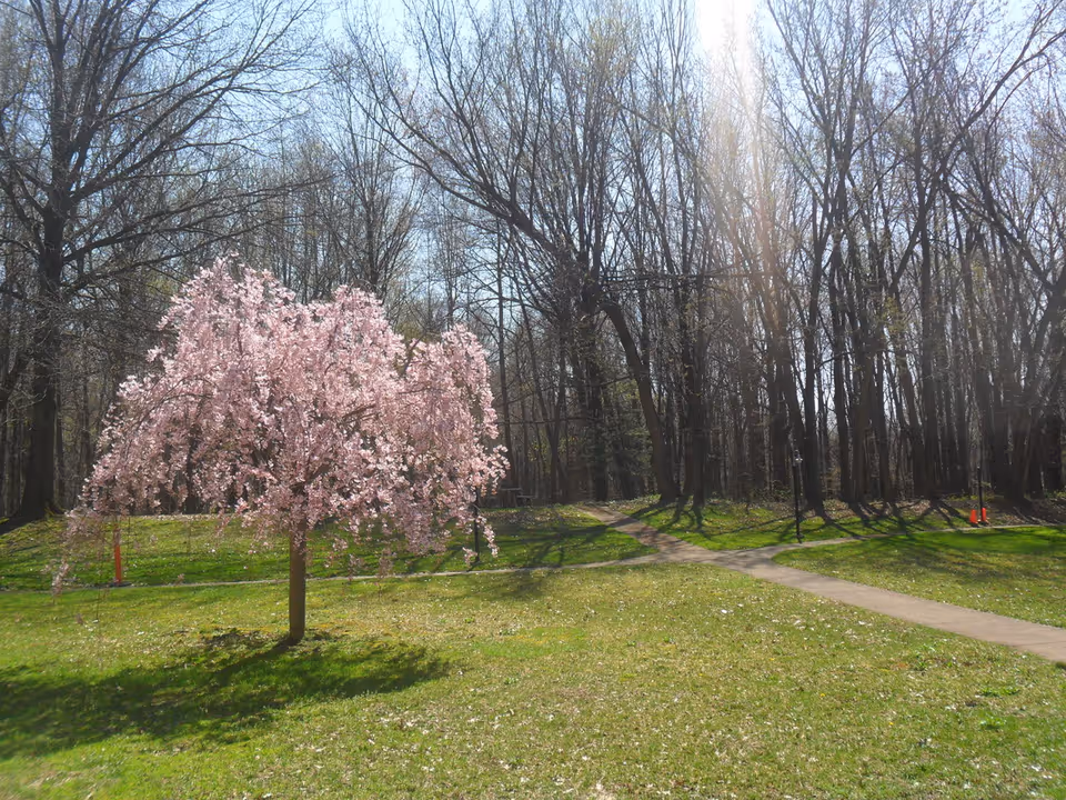 Photo 5 of Westlake Assisted Living