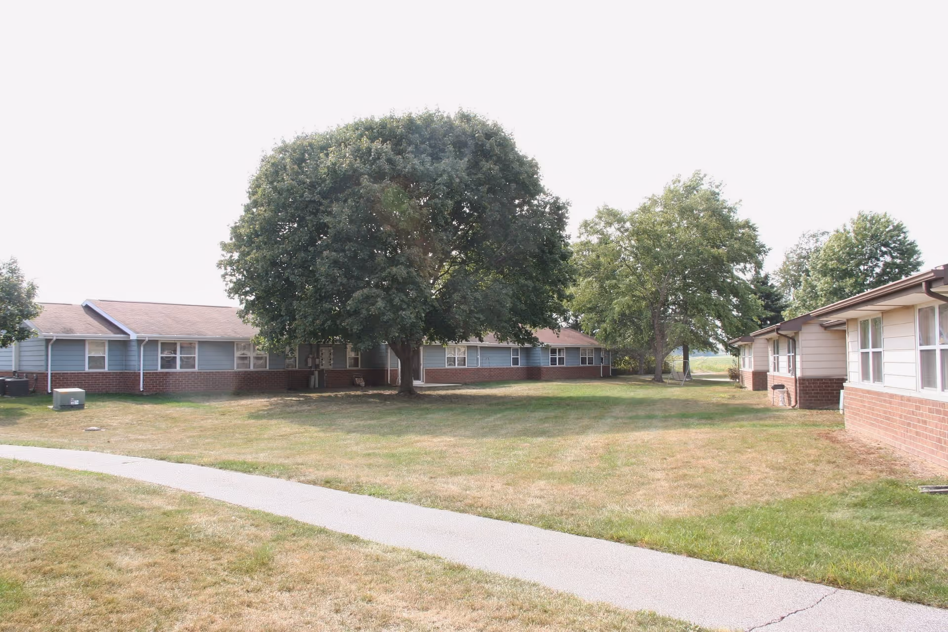 A landscaped area at Hamilton Grove, showcasing buildings and a large tree.