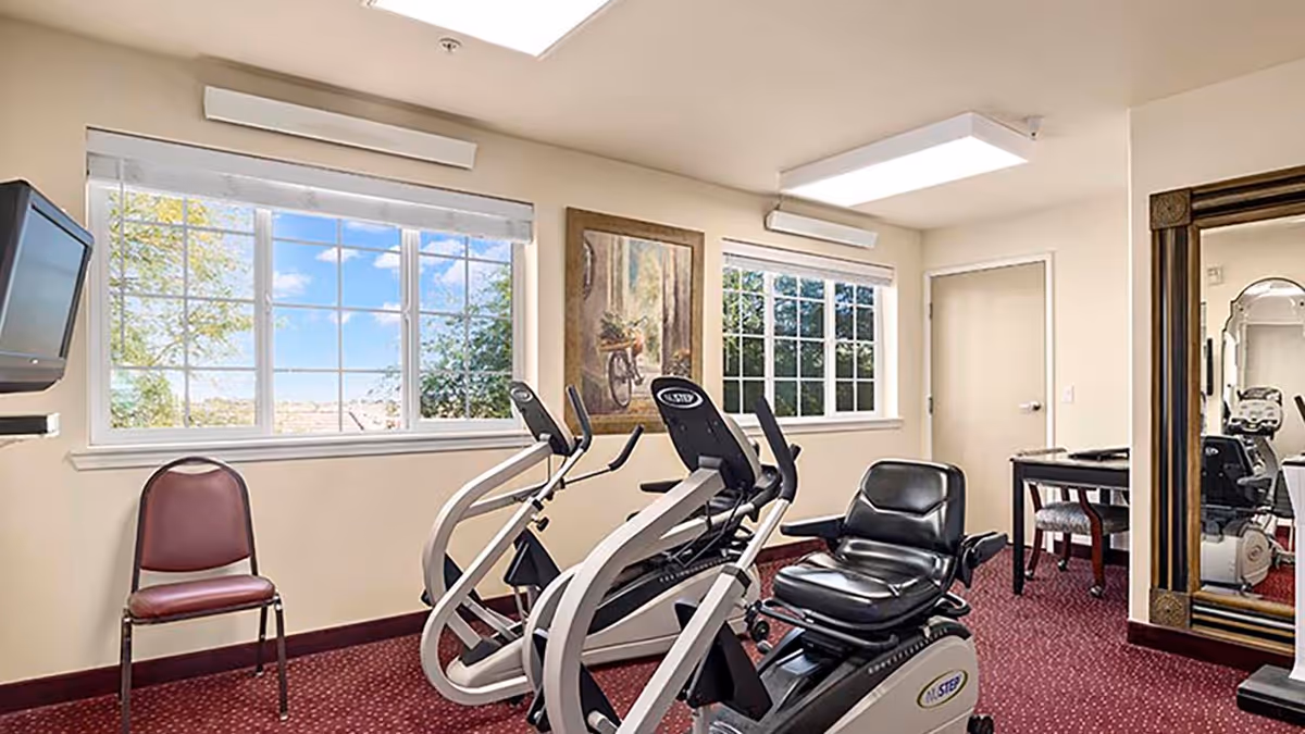A small exercise room with two elliptical machines and a recumbent bike. The room has large windows letting in natural light, a wall-mounted TV, a chair, a framed painting of a bicycle, a large mirror, and a table with chairs in the background. The floor is carpeted in red with a subtle pattern.