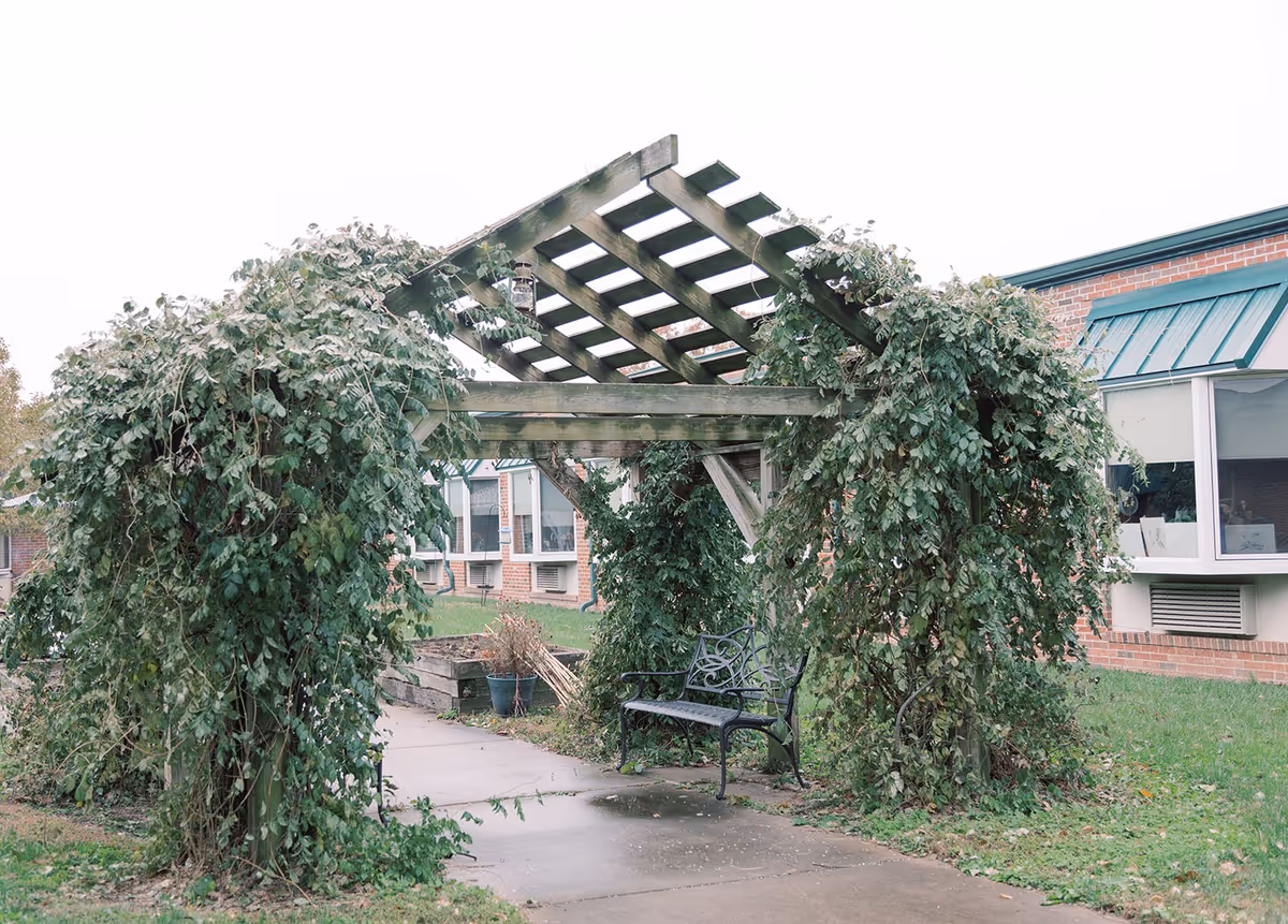 A vine-covered wooden pergola with a metal bench in a nursing home courtyard in front of a brick building.