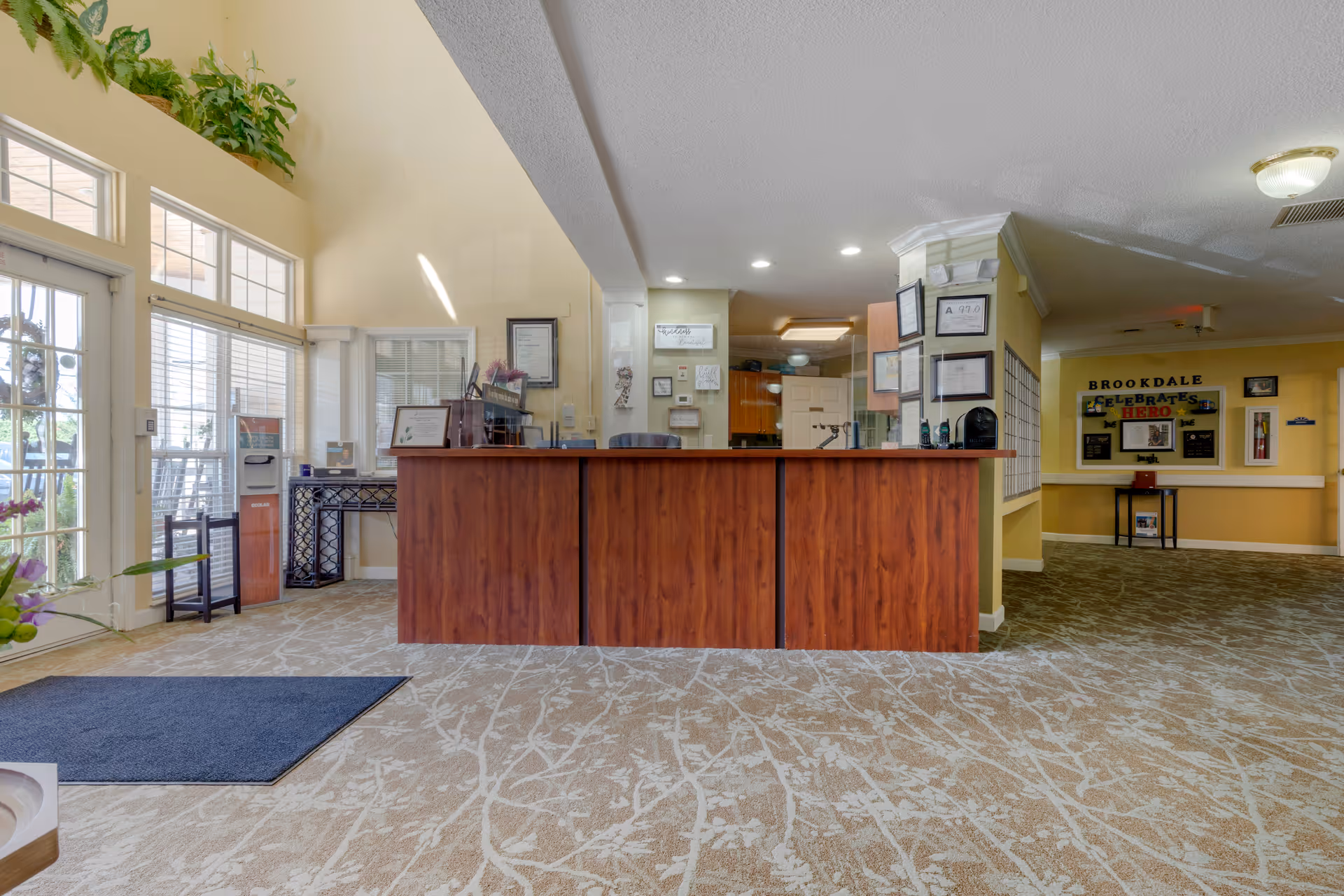 Reception area of Brookdale Forest City featuring a wooden front desk with certificates and decorations on the wall behind it. There are large windows on the left side allowing natural light to enter, plants on a ledge above the windows, and a carpeted floor with a patterned design. A bulletin board with the words 'Brookdale Celebrates Hero' is visible in the hallway to the right.