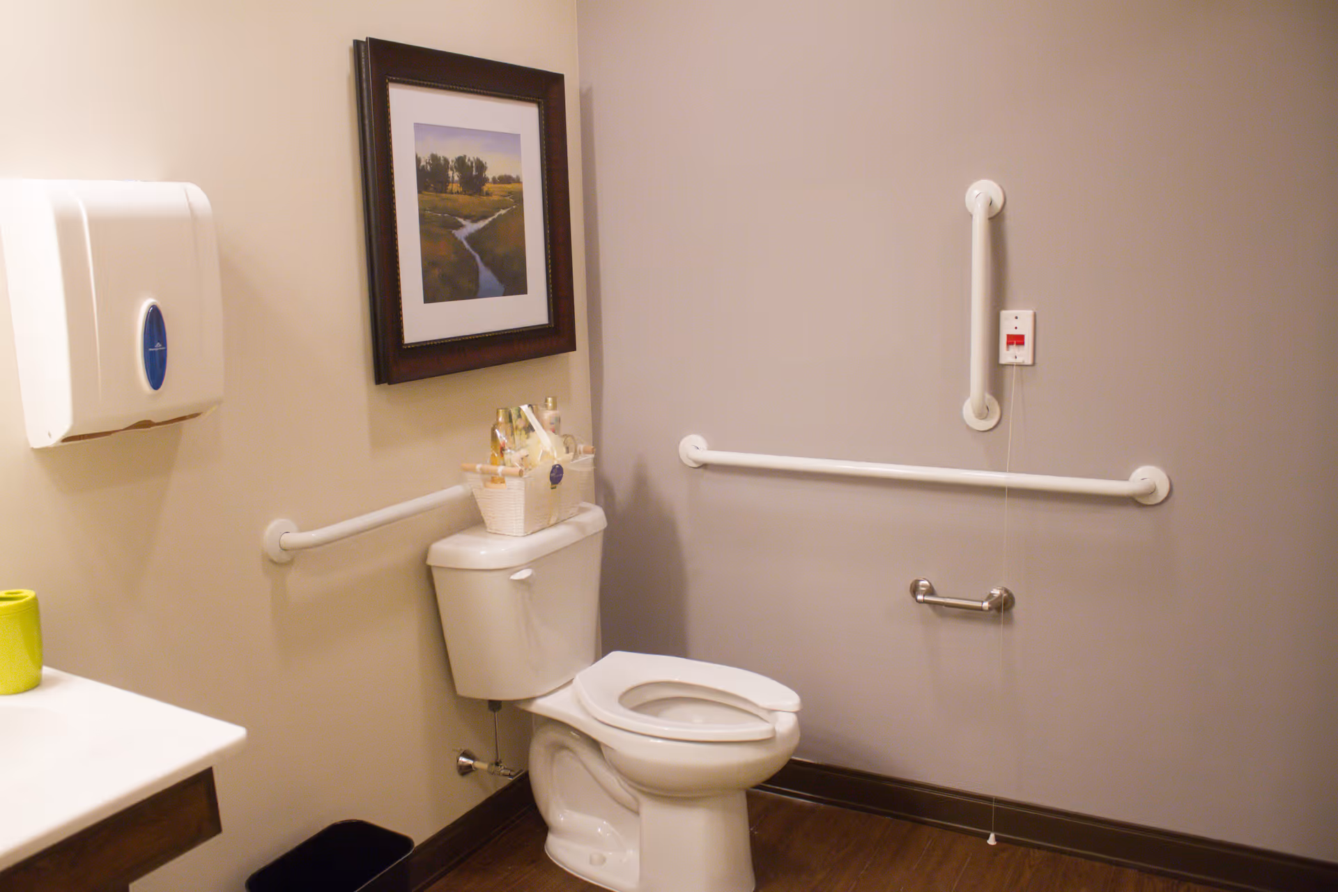 A clean and accessible bathroom with a white toilet, grab bars on the walls, a paper towel dispenser, a framed landscape picture above the toilet, and a basket with toiletries on the toilet tank.
