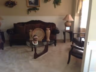 A living room with a dark wooden sofa with cushions, a glass coffee table holding decorative vases, a side table with a lamp, and a wooden chair. The walls have framed pictures and greenery decorations, and there is a window with curtains letting in natural light.
