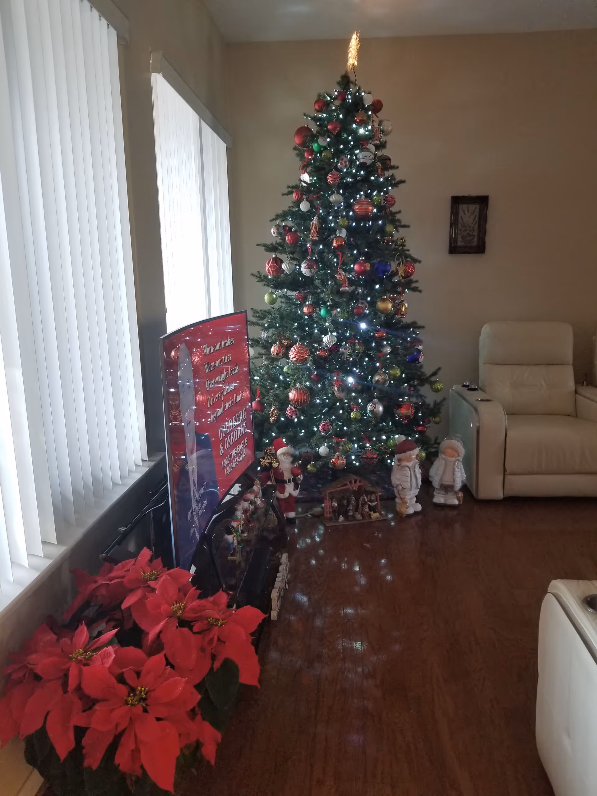 A decorated Christmas tree with lights and ornaments stands in a living room next to poinsettias, a TV, and reclining chairs.