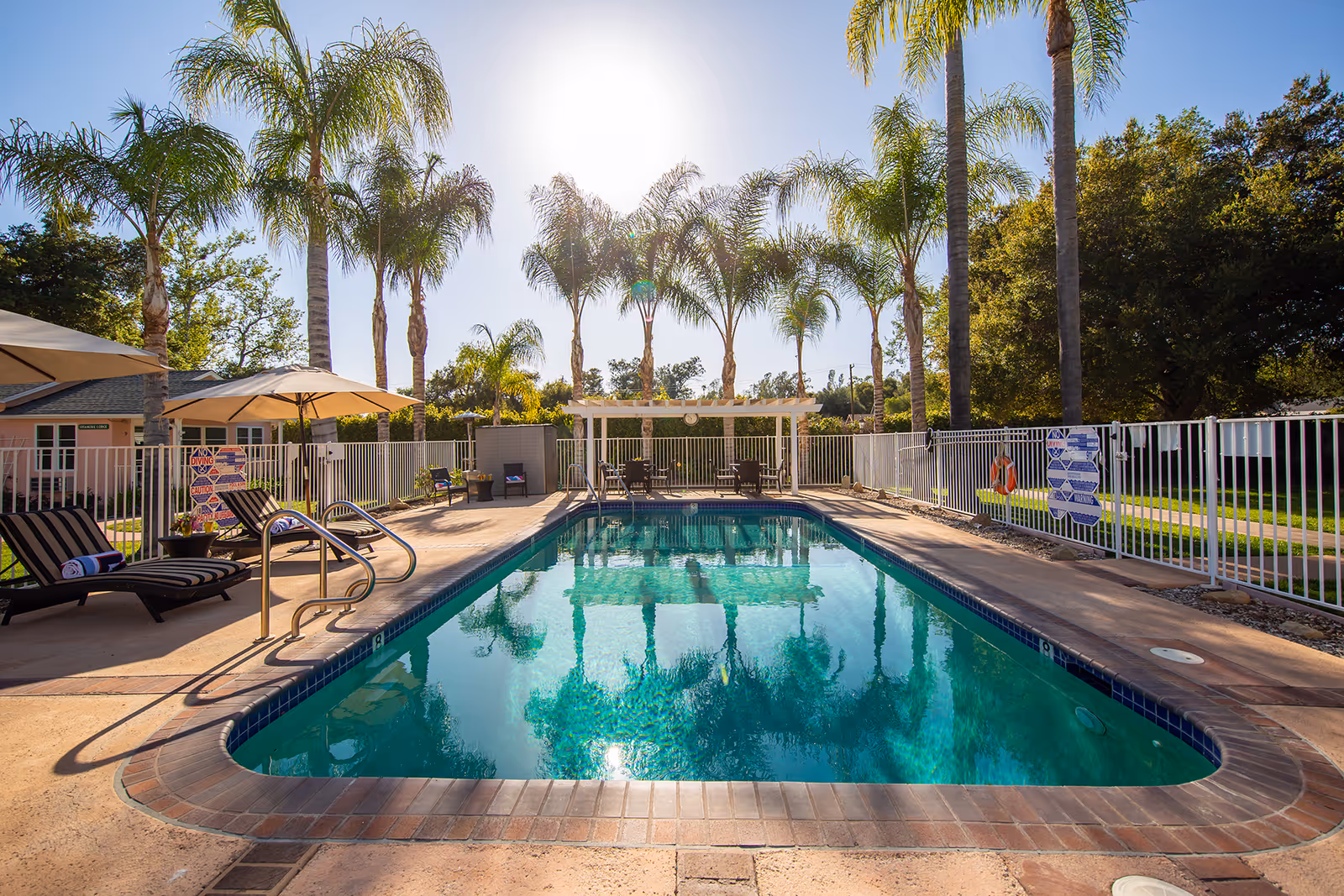 Outdoor swimming pool surrounded by a concrete deck with lounge chairs and umbrellas. Tall palm trees and other greenery are visible around the fenced pool area under a clear sunny sky.