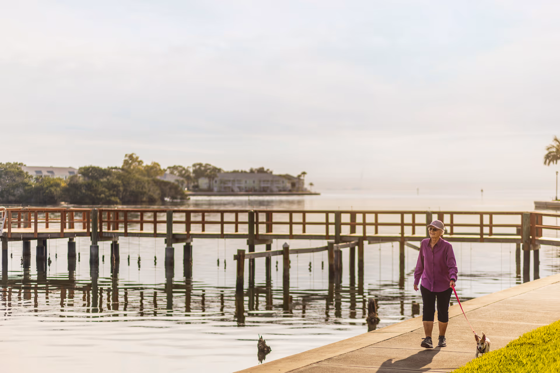 An elderly woman wearing a purple jacket, black pants, and a hat walking a small dog on a leash along a waterfront path with a wooden pier and calm water in the background.
