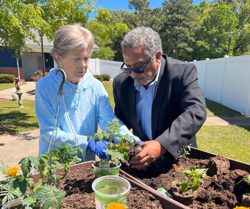 An elderly woman and an elderly man are gardening together outdoors. The woman is wearing a light blue hoodie and blue gloves, while the man is dressed in a black blazer and sunglasses. They are planting seedlings in a raised garden bed filled with soil, surrounded by green plants and flowers. The background shows a white fence, trees, and a building under a clear blue sky.