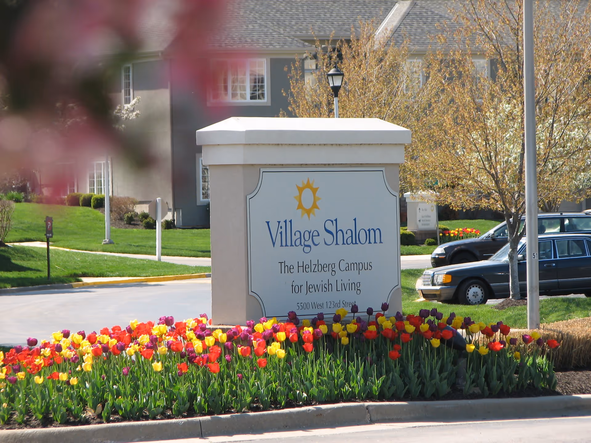 Outdoor view of the entrance sign for Village Shalom, The Helzberg Campus for Jewish Living, surrounded by colorful tulips and greenery with residential buildings and parked cars in the background.