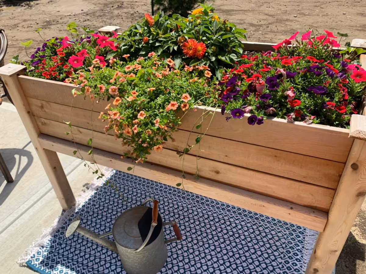 Raised wooden planter filled with colorful flowers on a patterned rug with a metal watering can nearby.
