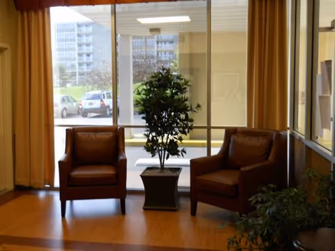 Two brown leather chairs flank a tall plant in a sunlit lobby.