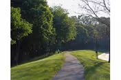 Curved paved walkway through a grassy, tree-lined area with a bench and a lamp post.