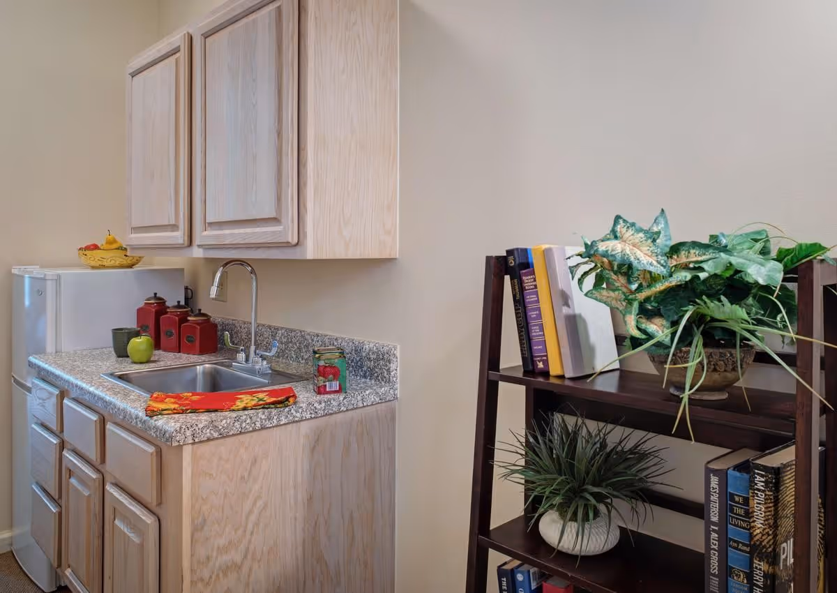 Small kitchenette with a sink and granite countertop, upper cabinets and mini fridge next to a bookshelf holding plants and books.
