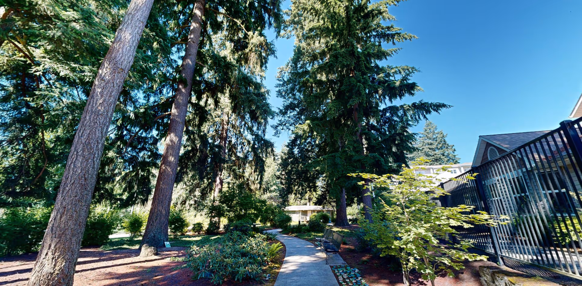 A paved walking path winding through a garden area with tall evergreen trees and various shrubs. There is a bench along the path and a black metal fence on the right side. The sky is clear and blue.