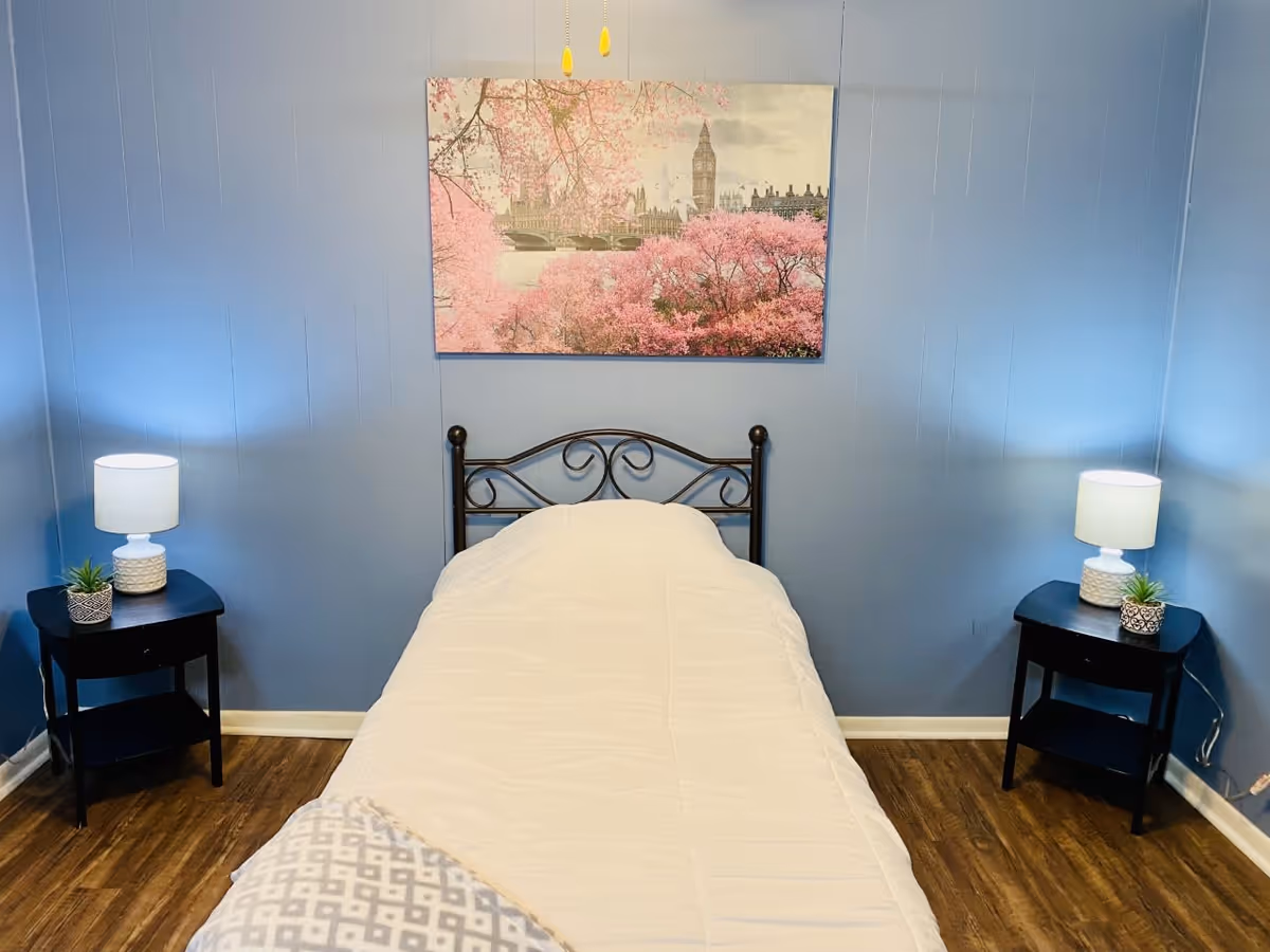A neatly made single bed with a white comforter in a room with blue walls. On either side of the bed are black nightstands, each with a small lamp and a small potted plant. Above the bed hangs a large framed picture of a scenic view with pink cherry blossoms and a cityscape featuring a clock tower.