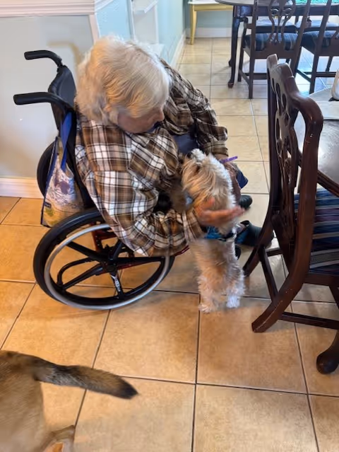 An elderly person in a wheelchair wearing a plaid shirt is petting a small dog standing on its hind legs inside a room with tiled flooring and wooden chairs around a table.