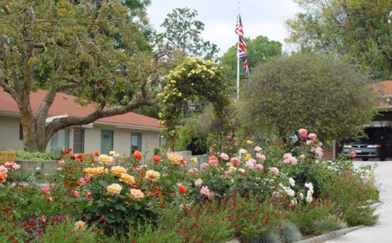A garden area with various colorful flowers including roses in front of a single-story building with a red roof. There is a flagpole with the American and British flags, trees, and a driveway with a parked car visible in the background.