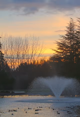 A pond with a central fountain and ducks in the foreground framed by trees against a colorful sunset sky.