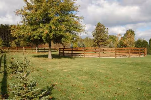 Green lawn with trees and a wooden fence in an open outdoor area.