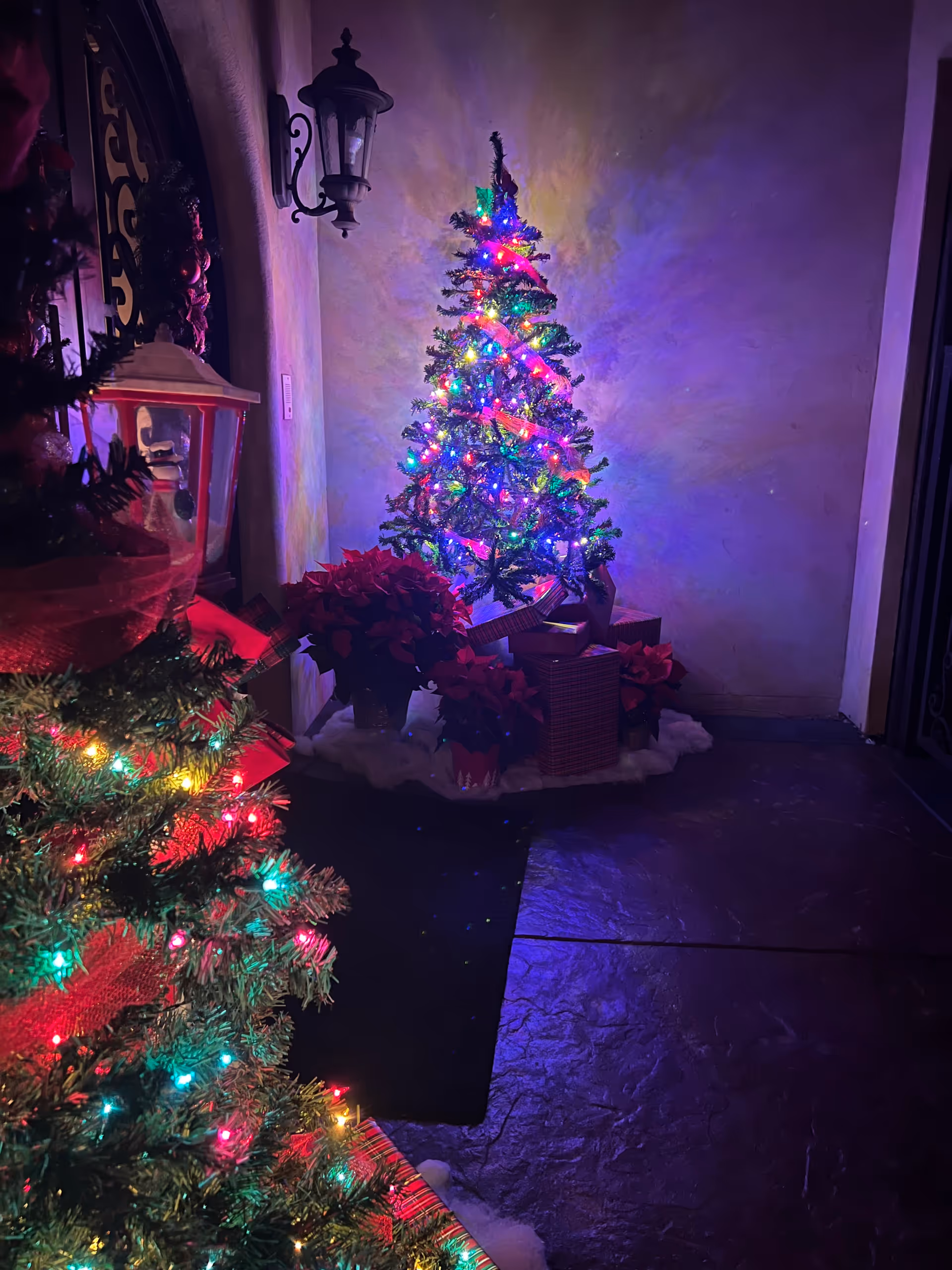 Two decorated Christmas trees with colorful lights and wrapped presents in a dim indoor entryway.