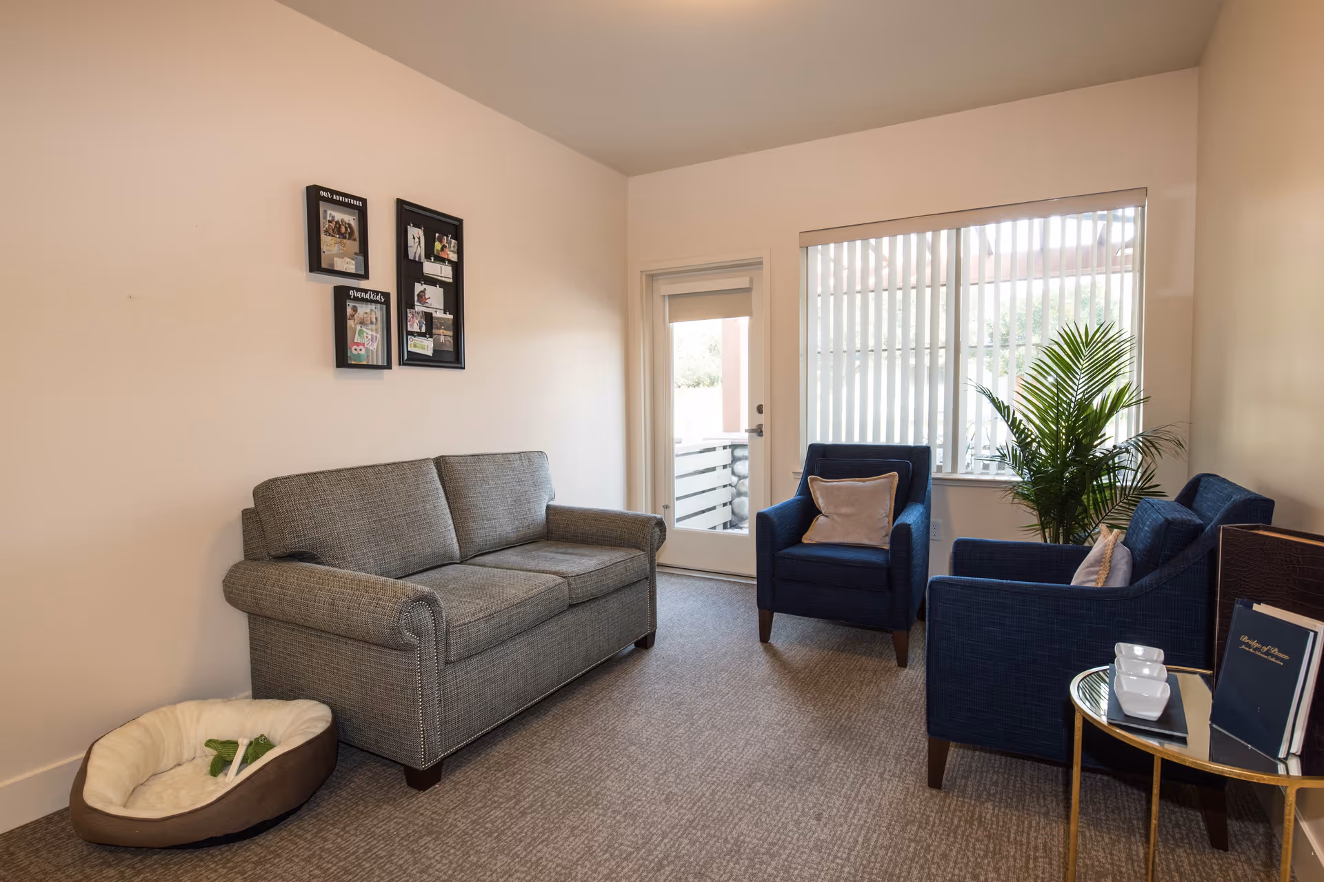 A cozy living room with a gray sofa, two blue armchairs with pillows, a small round glass table with books and cups, a potted plant near a window with vertical blinds, and a pet bed on the carpeted floor.