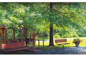 A peaceful outdoor area with a wooden gazebo, a bench, and a large tree providing shade. There is a paved pathway and a flower pot with colorful flowers near the bench. The background features lush green grass and trees.