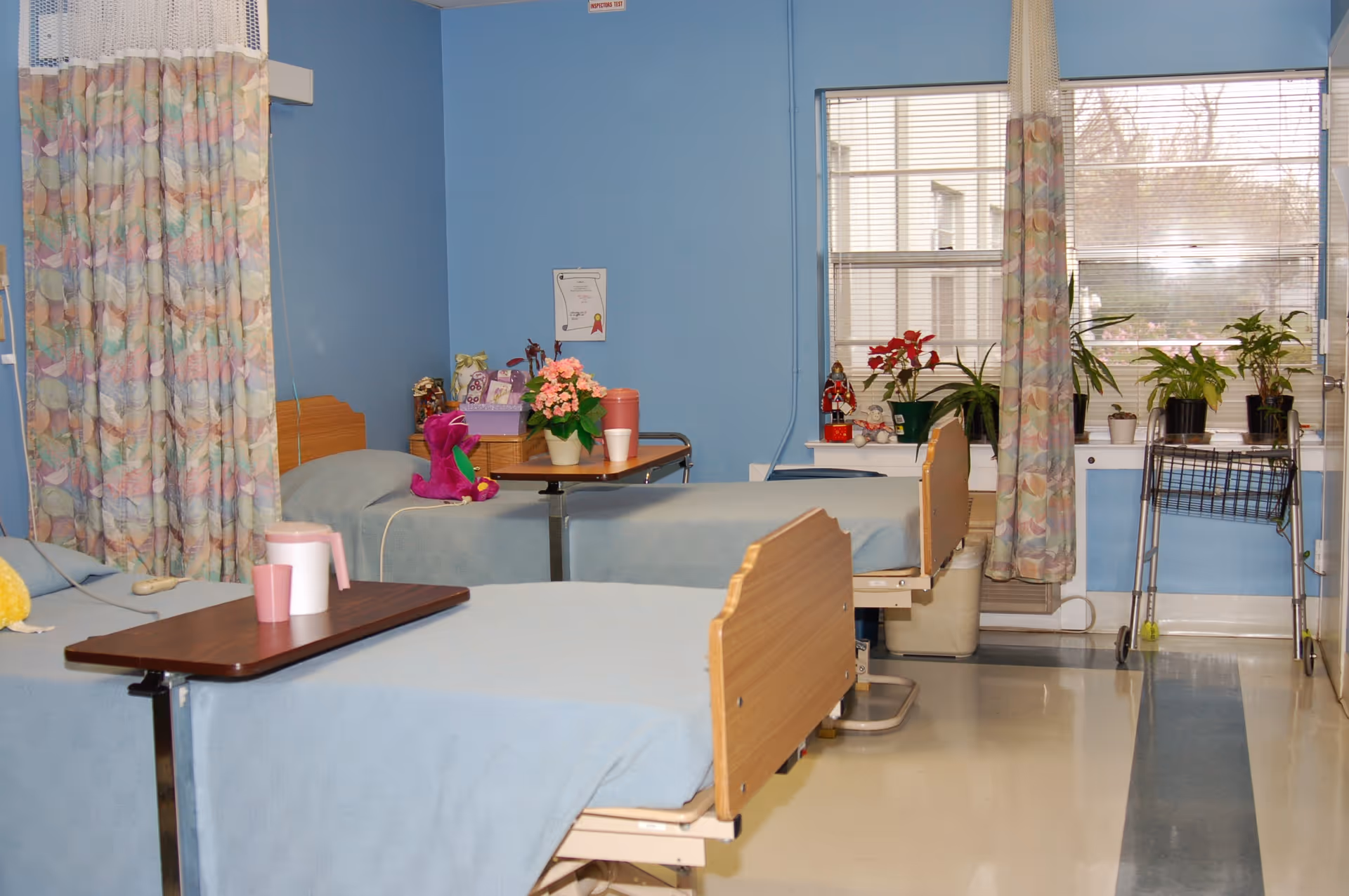 A room with two hospital-style beds with light blue bedding, each equipped with an overbed table. The room has blue walls and large windows with pastel-colored curtains. There are several potted plants on the windowsill and a few decorative items including a purple stuffed dinosaur on one bed. The floor is shiny and clean, and there is a metal walker near the window.