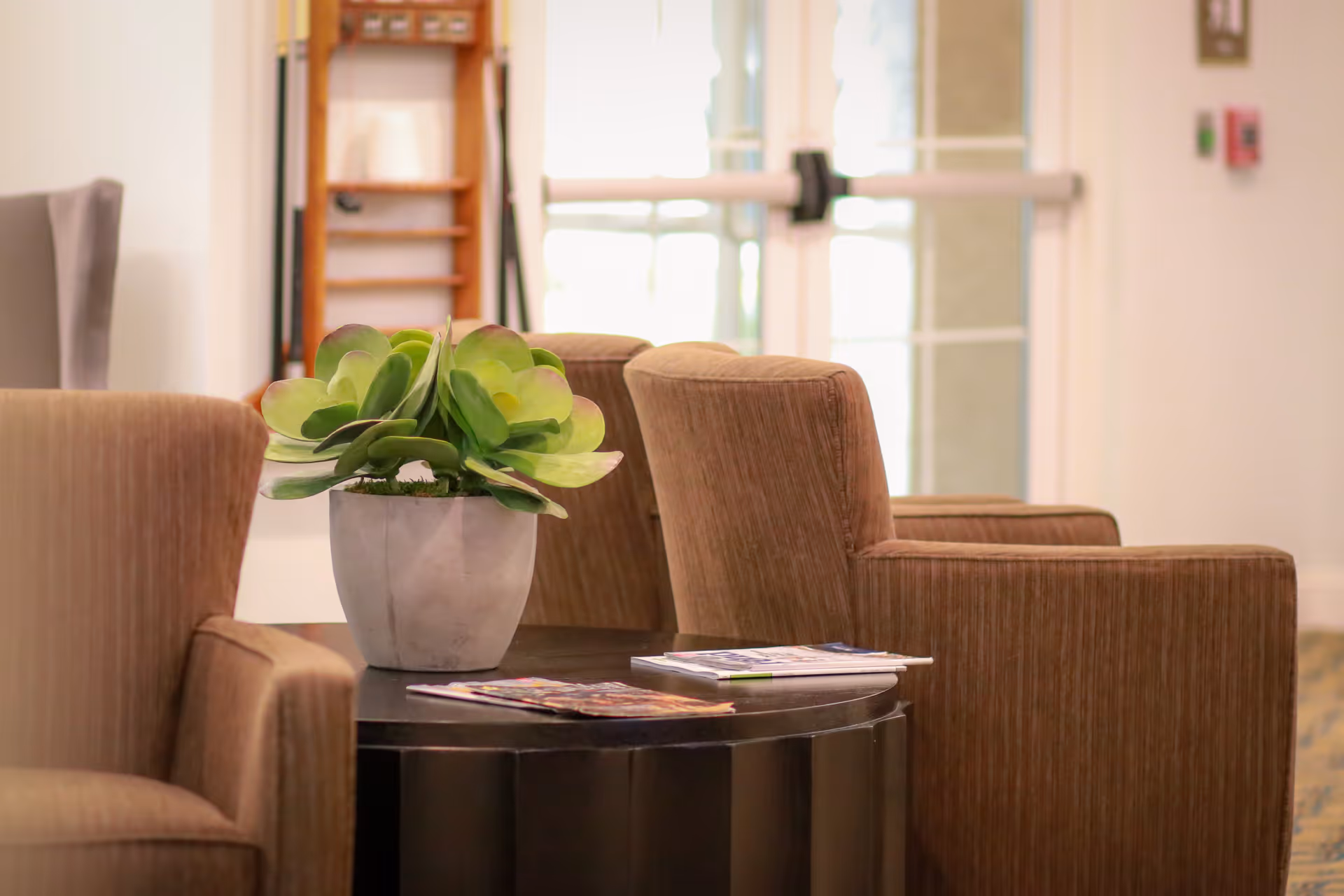 A cozy seating area with brown upholstered armchairs around a dark round table holding a potted green plant and some magazines, with a bright glass door in the background.