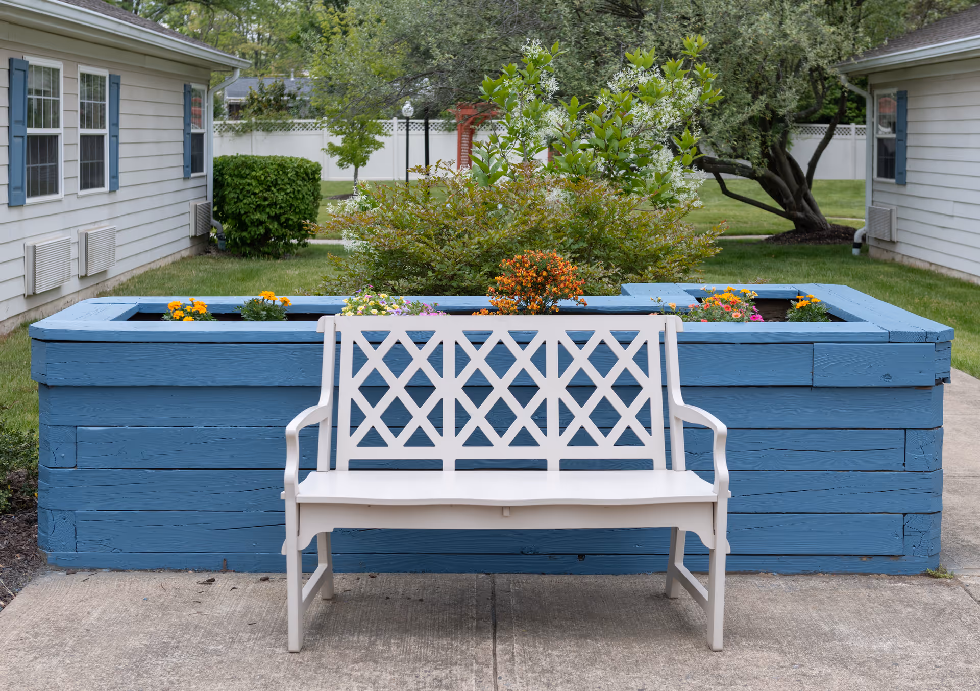 White wooden bench in front of a large blue wooden planter box filled with various colorful flowers and greenery, situated on a concrete pathway between two buildings with white siding and blue shutters, with a white fence and trees in the background.