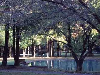 Shaded trees surround a calm outdoor area with a reflective pool.