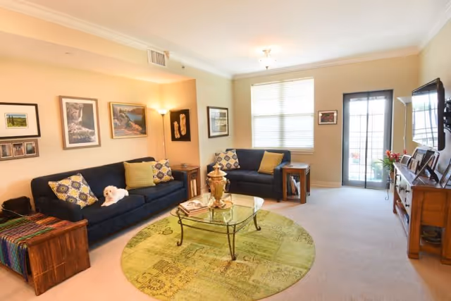 A cozy living room with two dark blue sofas adorned with patterned and solid yellow pillows. A small white dog is sitting on one of the sofas. The room features a round green patterned rug under a glass coffee table with decorative items. There are framed pictures on the walls, a floor lamp in the corner, a wooden side table, and a wooden TV stand with a flat-screen TV mounted above it. A large window with blinds and a glass door leading outside provide natural light.