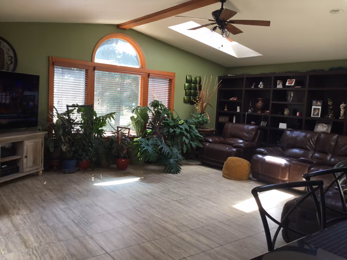 A living room with green walls, a large arched window with blinds, several potted plants near the window, brown leather armchairs and sofa, a dark wooden shelving unit with decorative items and framed photos, a ceiling fan with wooden blades, and a tiled floor.