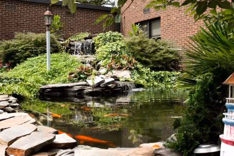 A tranquil outdoor pond with koi fish, rocks, and lush greenery beside a brick building.