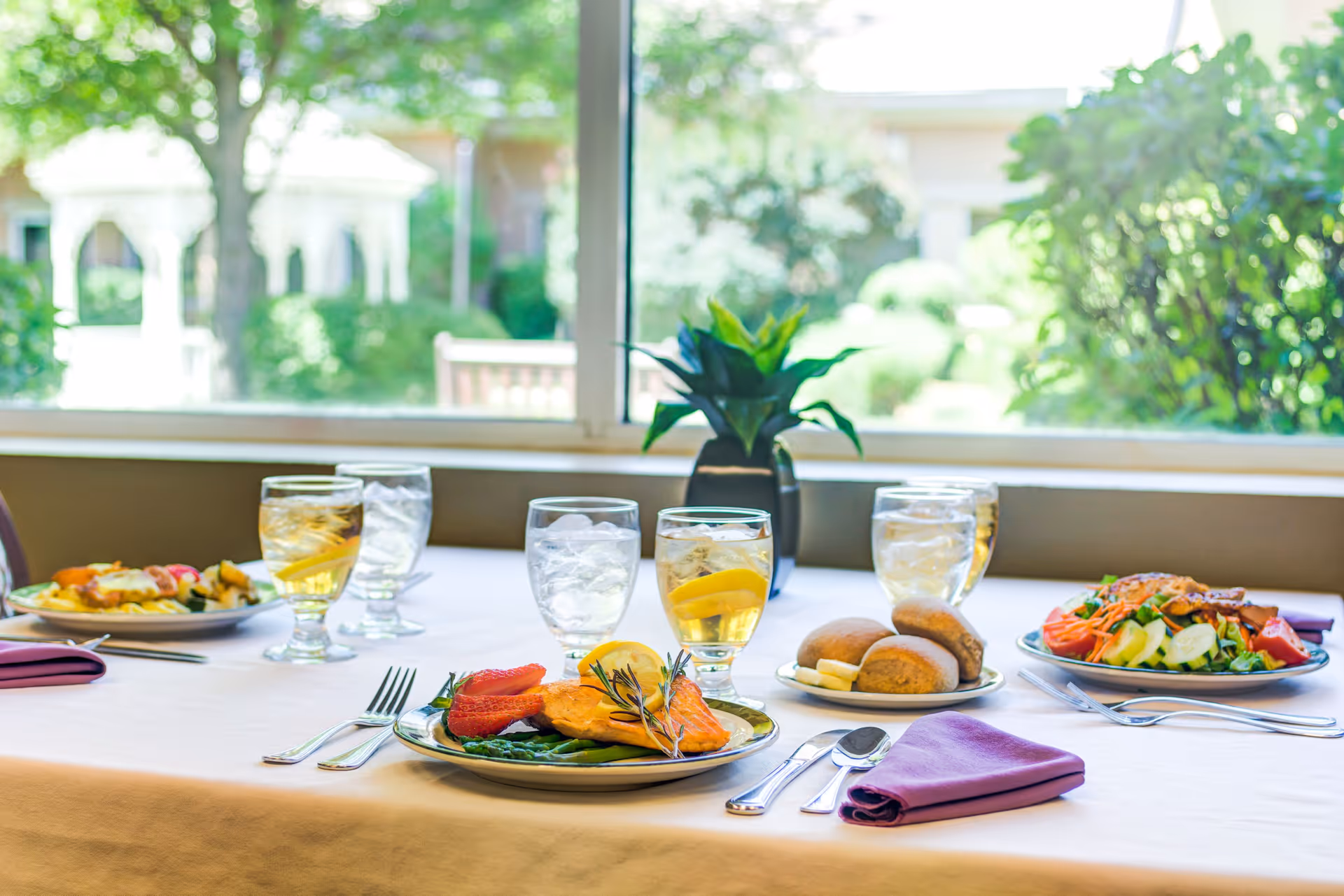 A dining table set with plates of food including grilled salmon with vegetables, a salad, and bread rolls with butter. There are glasses of iced water and iced tea with lemon on the table, along with purple cloth napkins and silverware. A window in the background shows a green outdoor garden area.