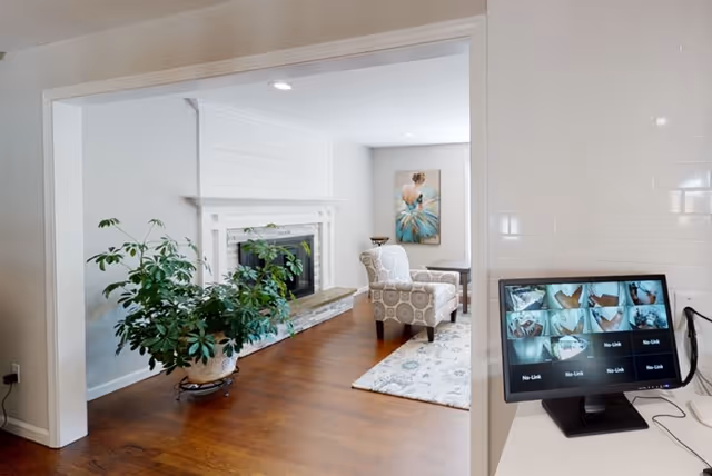 Interior view of a living room with wooden flooring, a large green potted plant, a white fireplace, a patterned armchair, a small side table, and a wall painting of a woman in a blue dress. In the foreground, a monitor displays multiple security camera feeds.