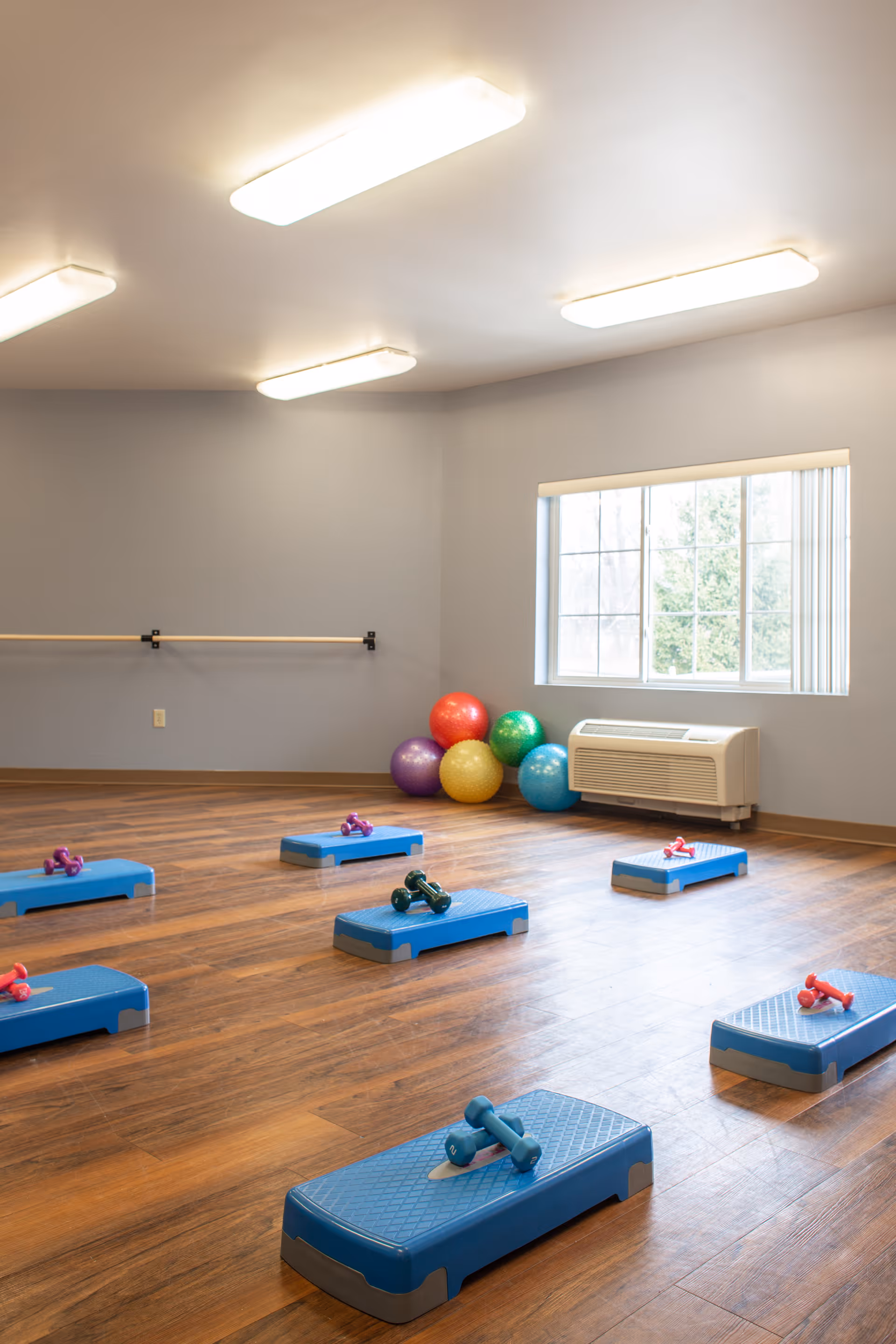 A fitness or exercise room with wooden flooring, blue aerobic steps each paired with small dumbbells, colorful exercise balls stacked in the corner, a ballet barre mounted on the wall, and a large window letting in natural light.