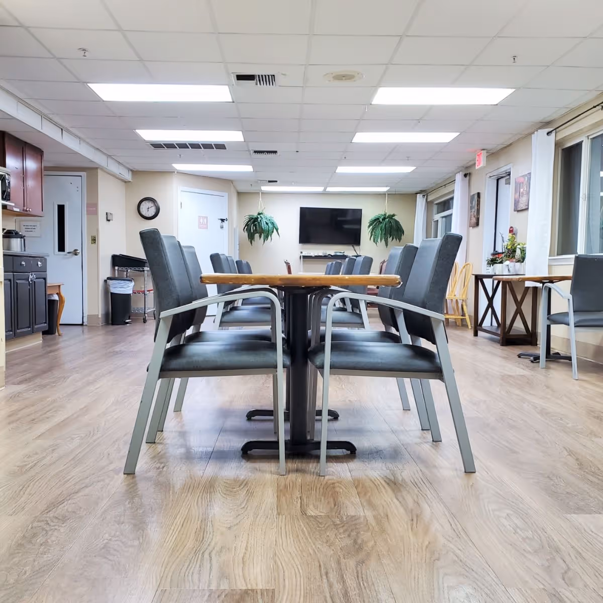 A well-lit dining area in a senior living facility with a long wooden table surrounded by gray cushioned chairs. The room has light wood flooring, a flat-screen TV mounted on the far wall, two hanging plants, and windows with white curtains on the right side. There are cabinets and a trash can on the left side, and additional tables and chairs along the right wall.