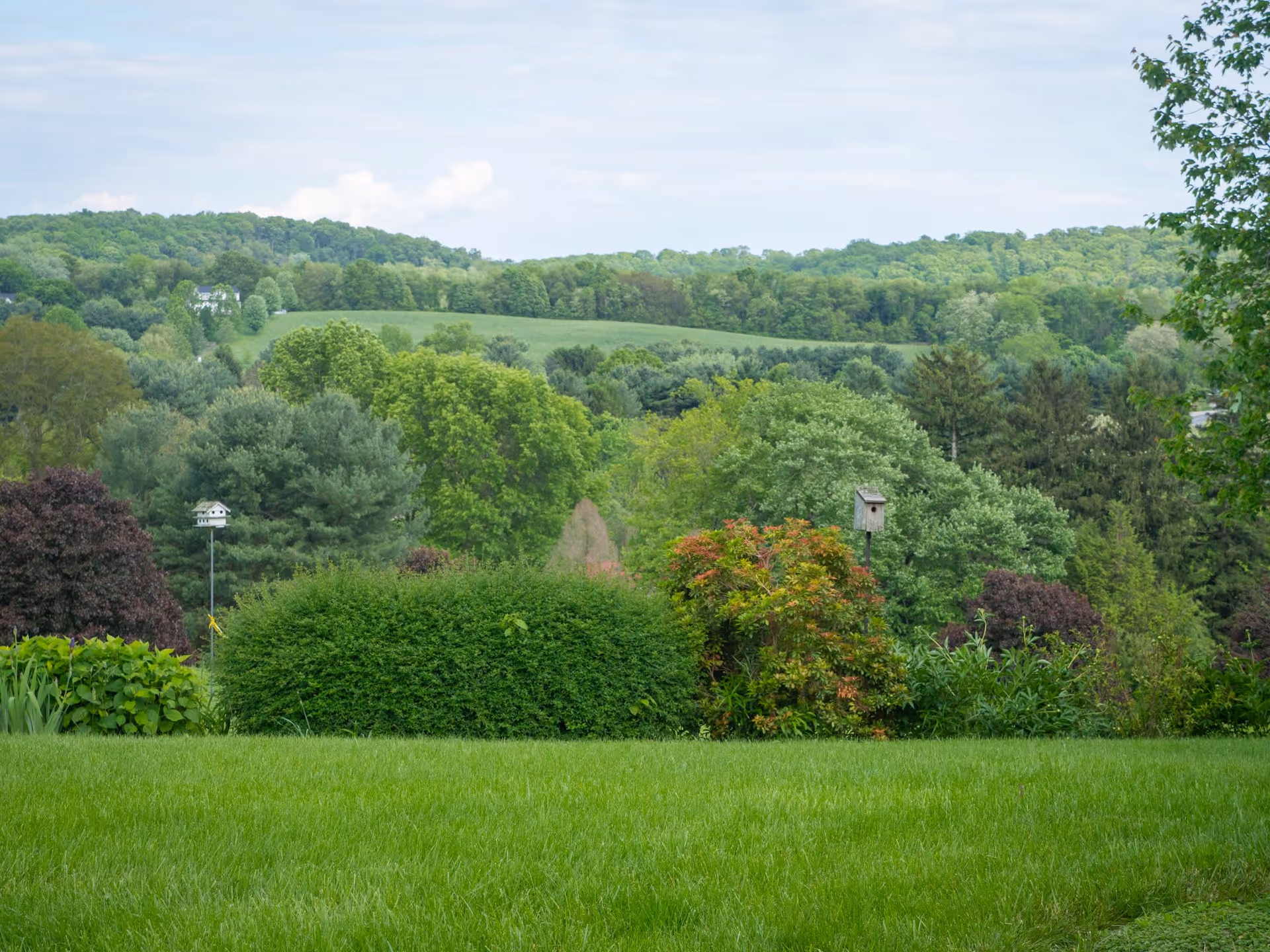 Photo 15 of Carroll Lutheran Village