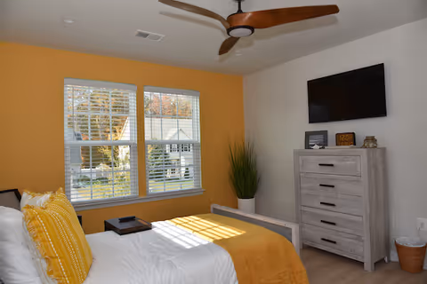 A bright bedroom with a large window featuring white blinds and a yellow accent wall. The bed has white bedding with yellow pillows and a yellow throw blanket. A wooden dresser with a mounted flat-screen TV above it is on the opposite wall. A modern ceiling fan with wooden blades is mounted on the ceiling, and a tall green plant in a white pot is placed next to the dresser.