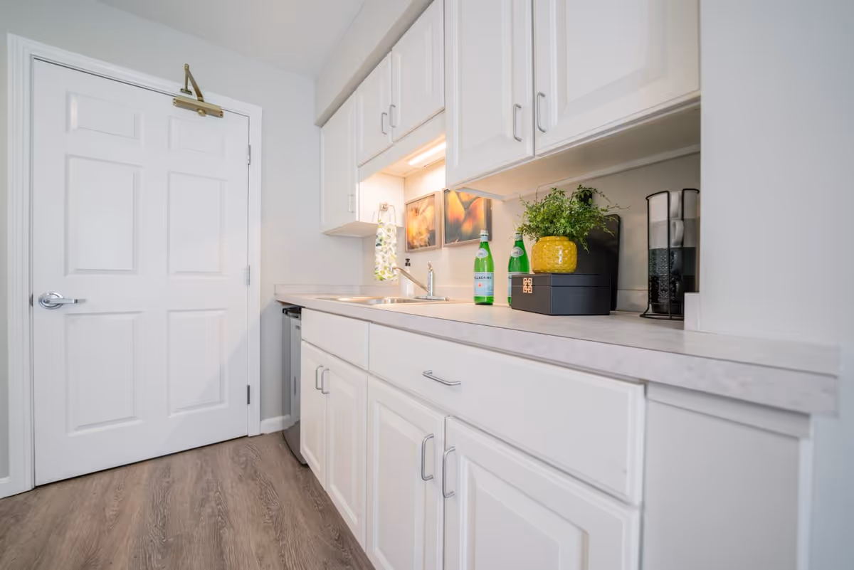 Bright kitchenette with white cabinets, a countertop and sink, decorative bottles and a potted plant next to a closed white door.