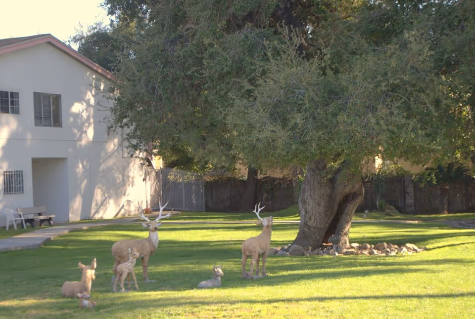 Decorative deer statues on a grassy lawn beneath a large tree next to a light-colored building.