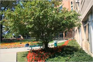 Outdoor courtyard with trees, flowers, benches, and a building entrance.