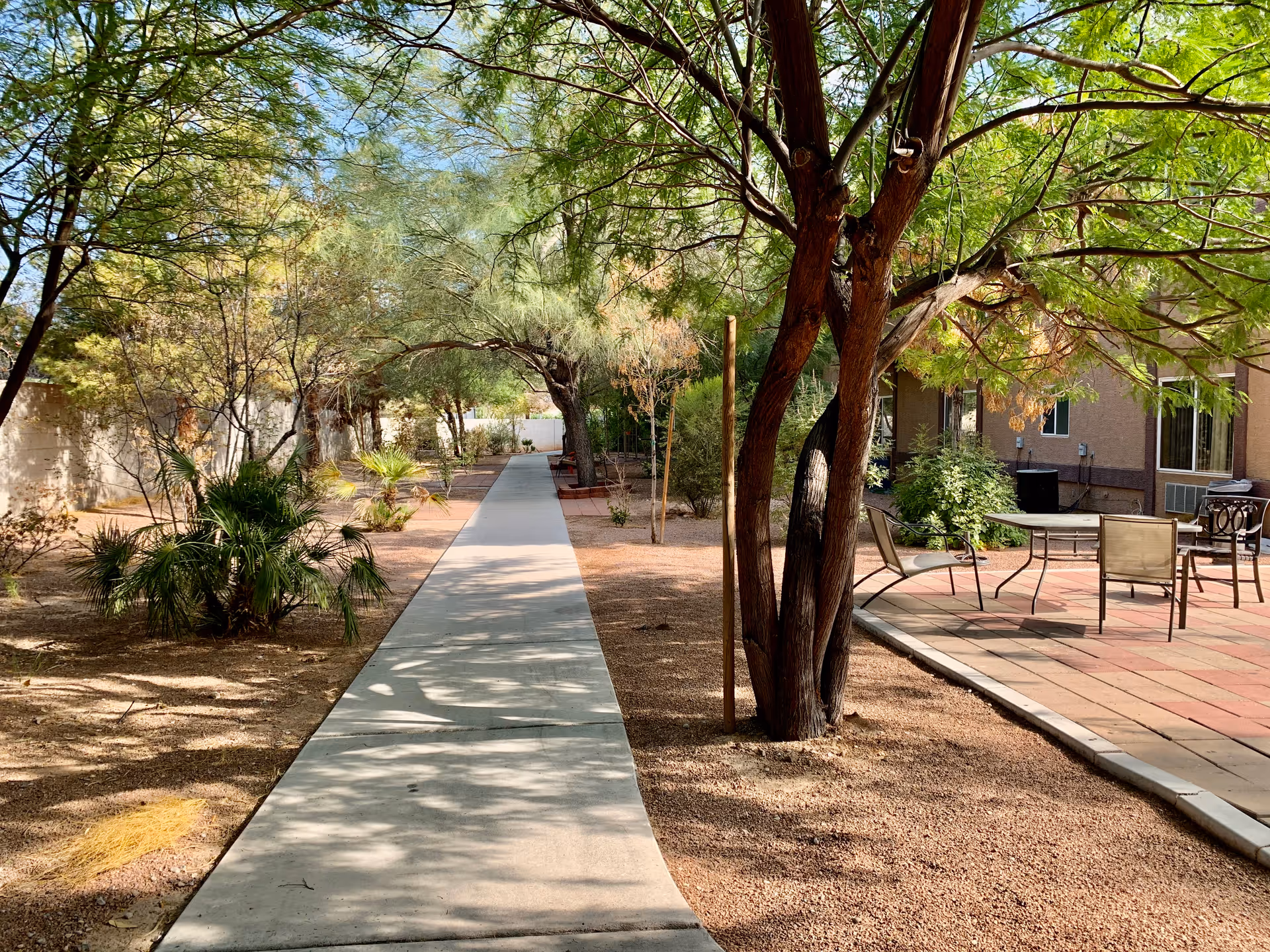A paved walkway lined with trees and desert landscaping leading through an outdoor area of a senior living facility. To the right, there is a patio area with a table and chairs surrounded by greenery and a building wall with windows.