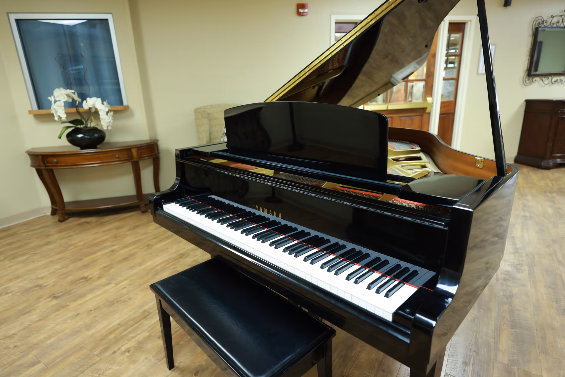 Black grand piano with bench in a wood-floored common room with a side table and decorative plant.