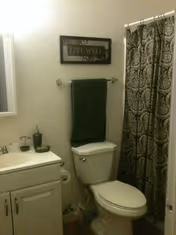 Bathroom with a white toilet, a white vanity with a sink, a dark green towel hanging on a towel rack above the toilet, a decorative shower curtain with a paisley pattern, and a framed sign on the wall that reads 'LIVE WELL'.