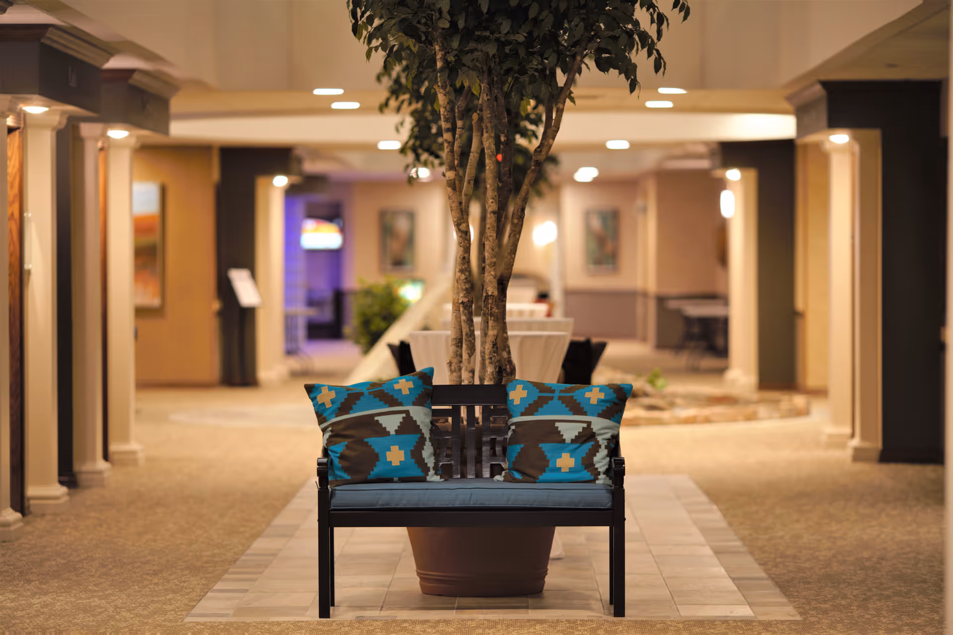 Indoor hallway area of a retirement community with a black bench featuring two blue and brown patterned cushions in front of a large potted tree. The hallway is softly lit with recessed ceiling lights and wall sconces, and there are tables and framed artwork visible in the background.