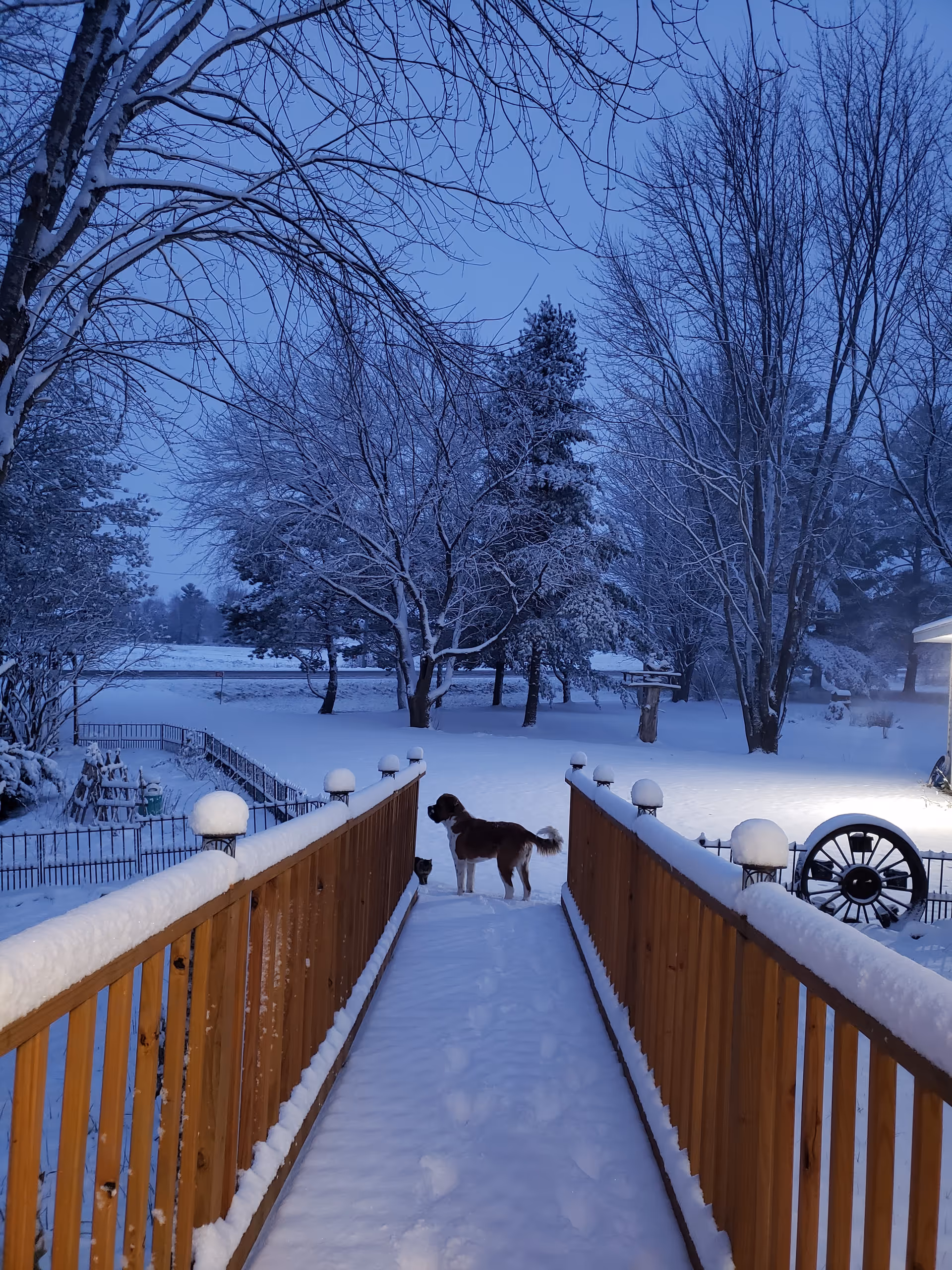 A snowy outdoor scene at dusk with a wooden ramp covered in snow leading to a snow-covered yard. Two dogs stand on the ramp, one larger and one smaller. Bare trees and snow-covered ground are visible in the background, along with a wagon wheel decoration on the right side.