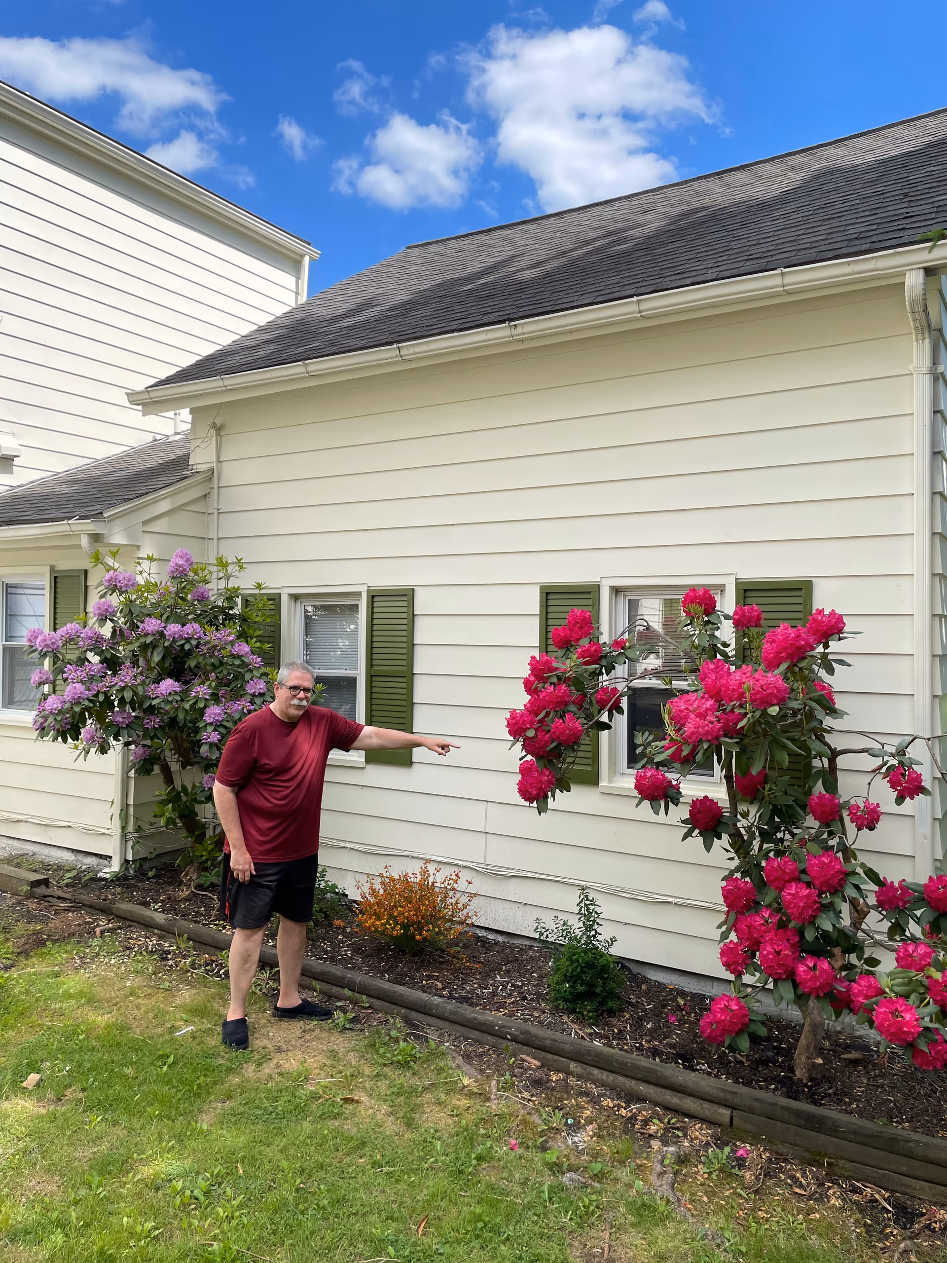 A man wearing a red shirt and black shorts is standing outside next to a cream-colored building with green shutters. He is pointing towards a window surrounded by vibrant pink flowers on a bush. There are also purple flowers on another bush near the building. The sky is blue with some clouds.
