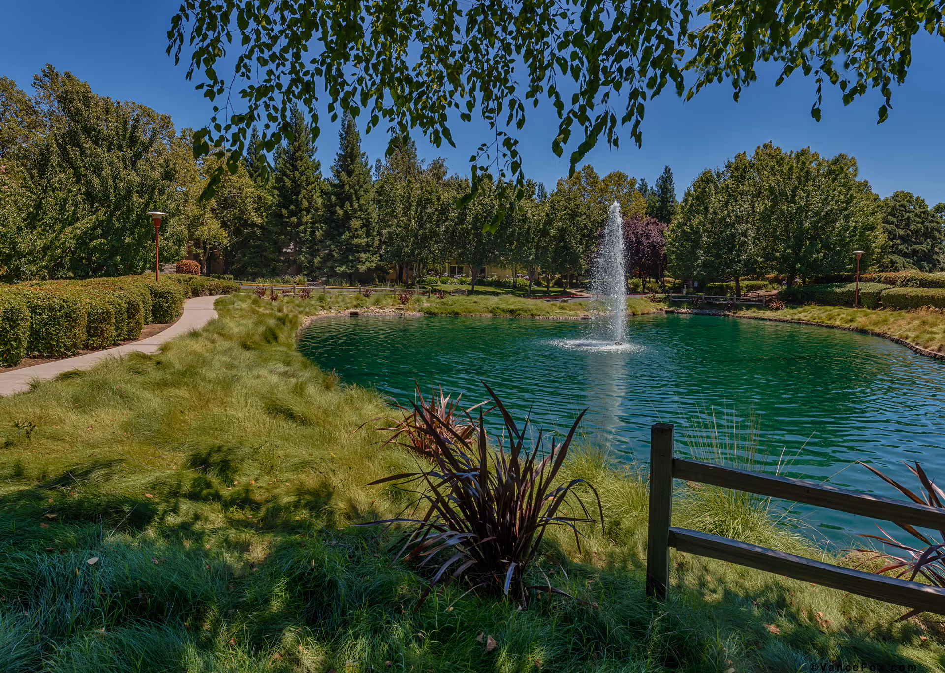 A landscaped pond with a central fountain, grassy banks, trees and a walking path.