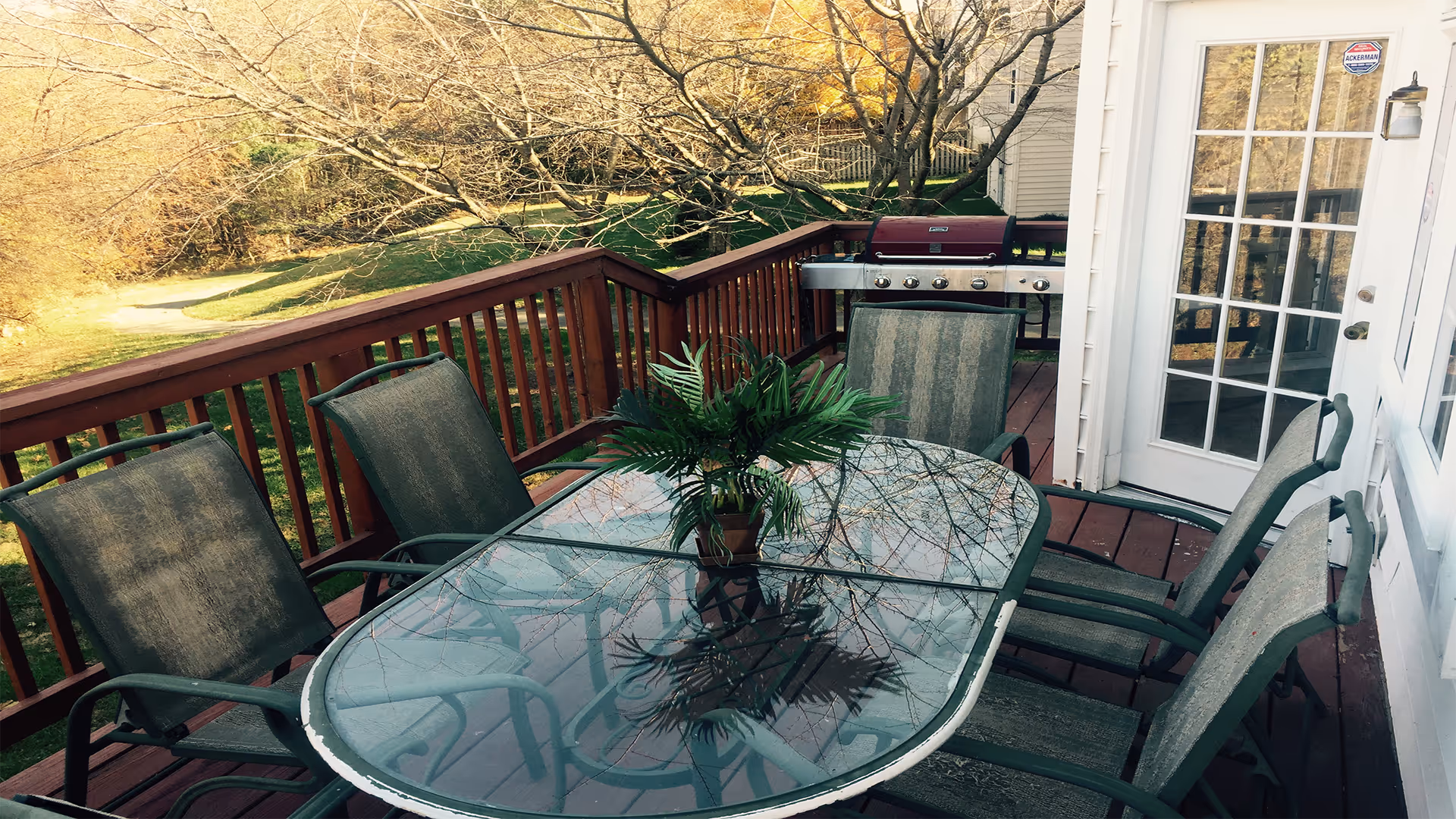 Outdoor wooden deck with a glass-top table surrounded by six green cushioned chairs. A potted plant is placed in the center of the table. In the background, there is a grill and a white door with glass panes leading inside. Trees and grass are visible beyond the deck railing.